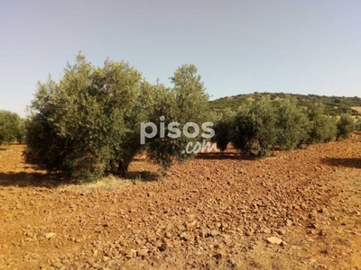 Finca rústica en venta en Carretera Torre Nueva