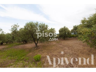 Finca rústica en venta en Els Grecs-Mas Oliva