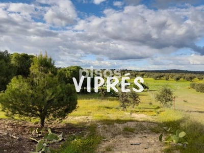 Finca rústica en venta en Esparragalejo