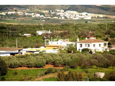 Finca rústica en venta en El Romeral-Santa Amalia