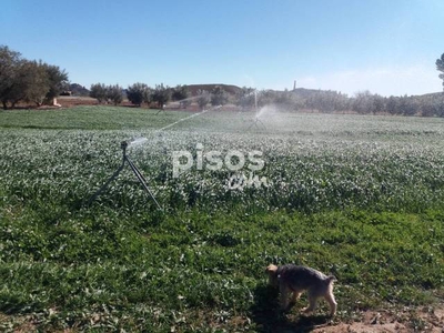 Finca rústica en venta en Pasaje El Raso