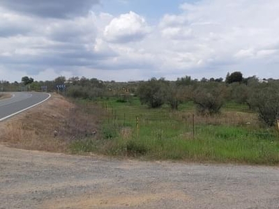 Terreno no urbanizable en venta en la Los Tejares' Almonte