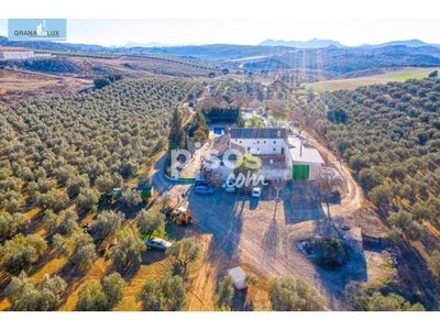 Finca rústica en venta en Calle Poligono 22 Parcela 116