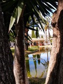 Chalet villa de lujo con encanto en la prestigiosa zona de nagueles - - Sierra Blanca en Marbella