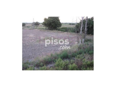 Finca rústica en venta en Fuentes de Ebro