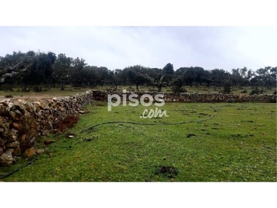 Finca rústica en venta en Villalba de los Llanos