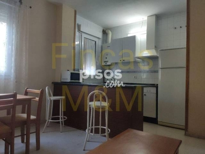 Apartamento en alquiler en Avenida del Párroco Don Antonio González Abato