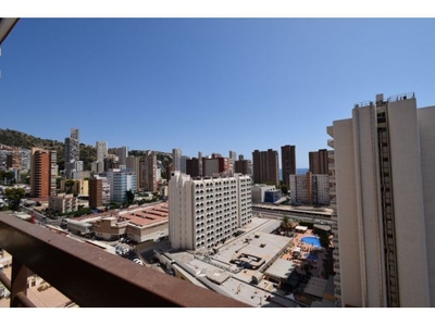 Estudio en Benidorm RINCÓN LLANO