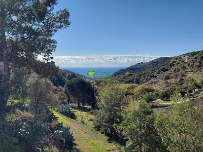 Finca/Casa Rural en venta en Torrox, Málaga