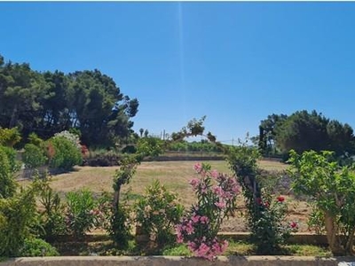 Finca rústica en San Miguel.