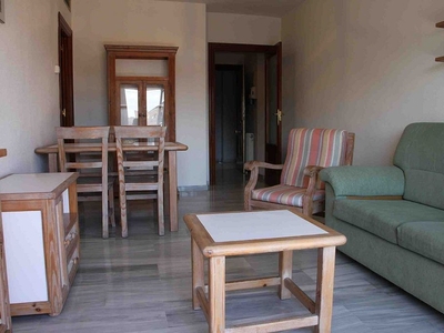 Alquiler de piso en calle Real Maestranza de 1 habitación con terraza y muebles