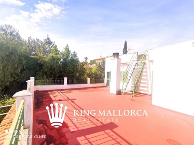 Palma de Mallorca villa en venta