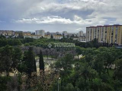 Piso de tres habitaciones muy buen estado, séptima planta, Parque Amate-Santa Aurelia, Sevilla