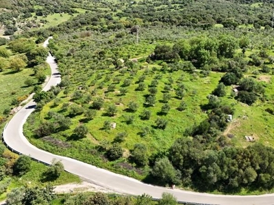 Parcela en venta en Gaucín