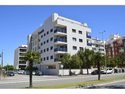 Venta Piso Murcia. Piso de dos habitaciones en Avenida Avenida de la Marina Española. Nuevo primera planta con terraza