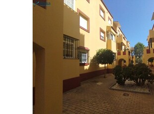 APARTAMENTO EN ALBATROS GOLF I