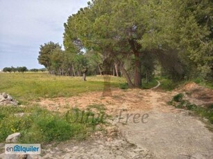 Casa rústica en alquiler temporada de verano en Can Tomás