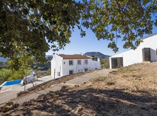 Finca/Casa Rural en venta en Comares, Málaga