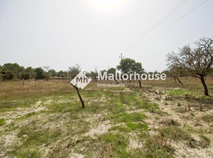 Solar/Parcela en venta en Santa Margalida, Mallorca