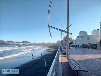 Alquiler de Piso en paseo de las canteras