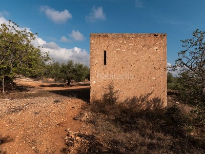 Casa en camí del ranxero finca rústica de olivos en producción con una casa de aperos en Aldea (L´)