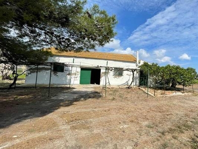 FINCA RUSTICA EN VENTA