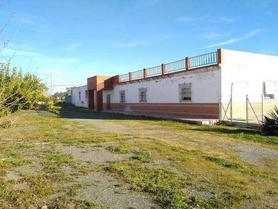 Venta Piso Lora del Río. Piso de cuatro habitaciones en Calle Valdepinos.