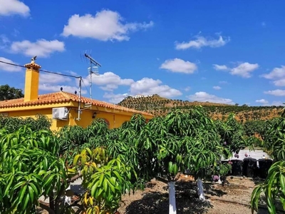 Venta Piso Vélez-Málaga. Piso de tres habitaciones Buen estado con terraza