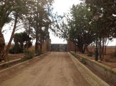 Chalet finca entre la aparecida y La Palma. en La Palma Cartagena