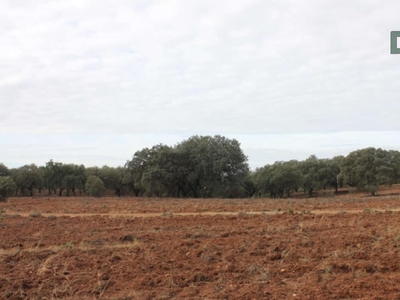 Terreno no urbanizable en venta en la Badajoz