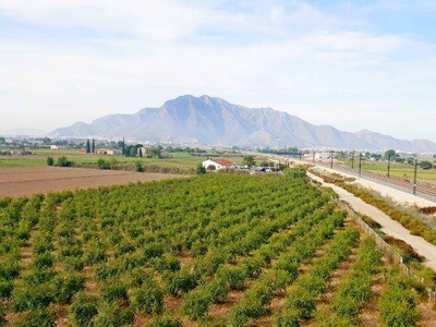 Venta Casa rústica Callosa de Segura. 100 m²