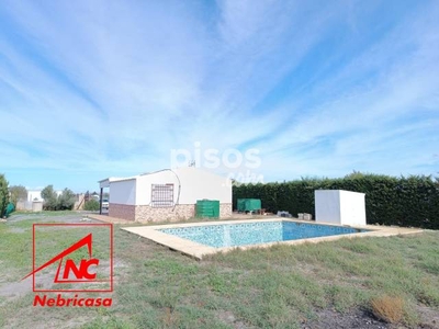 Finca rústica en venta en Lebrija