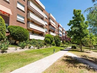 Amplio y luminoso Piso en Prado de Somosaguas - Pozuelo de Alarcón