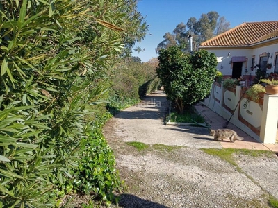 Chalet magnifico cortijo rustico con chalet en la pilarica ( puebla del rio) en Puebla del Río (La)