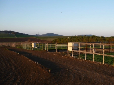 Finca/Casa Rural en venta en Medina-Sidonia, Cádiz