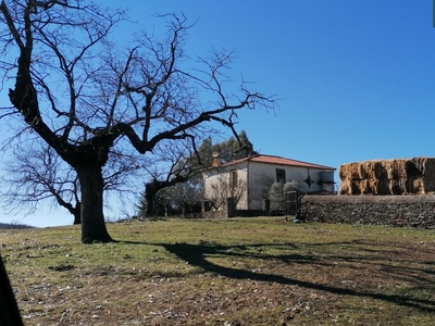 Finca rústica en venta en la Trujillo