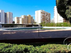 Venta Piso Vélez-Málaga. Piso de una habitación Primera planta con balcón
