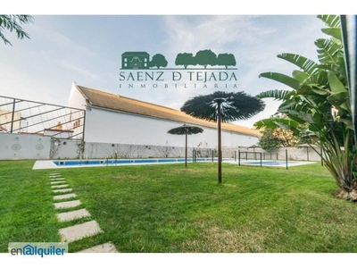 Alquiler piso piscina Bellavista - la palmera