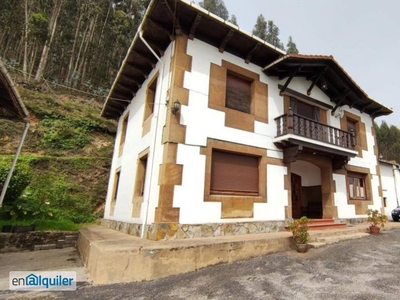 Alquiler piso terraza Zona rural