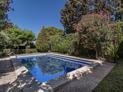 Casa Aislada en venta. Magnífico chalet independiente en una sola planta sobre una gran parcela de 700 m² con piscina, jardín y espectacular bajo de 70m²