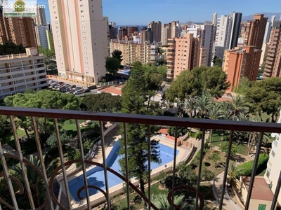 Apartamento coqueto y reformado en urbanización completa BENIDORM!