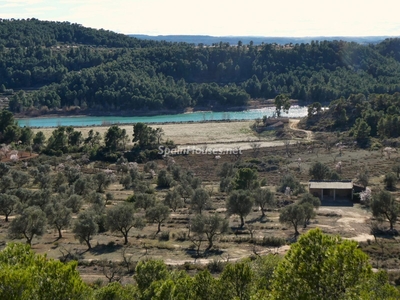 Finca en venta en Maella