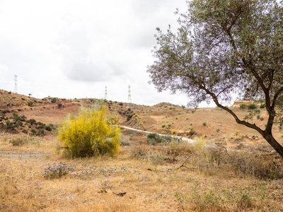 Solar/Parcela en venta en Estación de Cártama, Cártama, Málaga