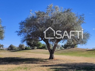 Solar/Parcela en venta en Sant Jordi, Castellón