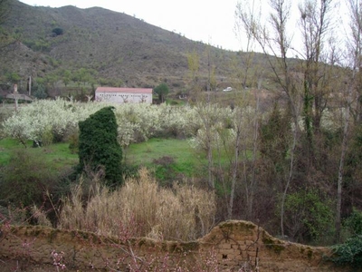 Íntegro/Habitaciones en Zaragoza