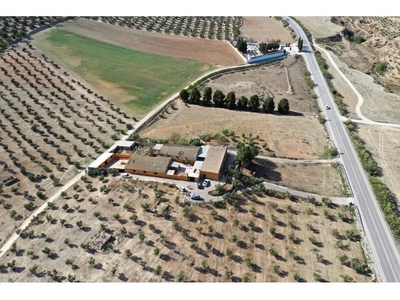 Venta de finca rústica con + de 4 hectáreas + 1000 olivos + cortijo en La Malahá (Granada)