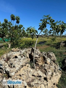 Preciosa casa de campo