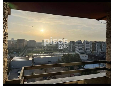 Piso en alquiler en Avenida de los Hermanos Maristas