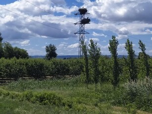 2 casas en Zaragoza