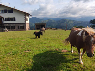 3 apartamentos en Navarra